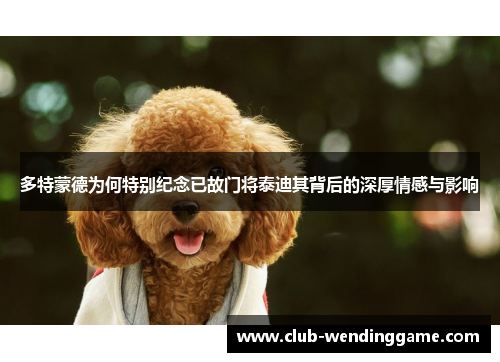 多特蒙德为何特别纪念已故门将泰迪其背后的深厚情感与影响