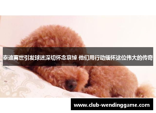 泰迪离世引发球迷深切怀念哀悼 他们用行动缅怀这位伟大的传奇