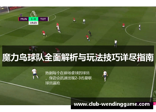 魔力鸟球队全面解析与玩法技巧详尽指南