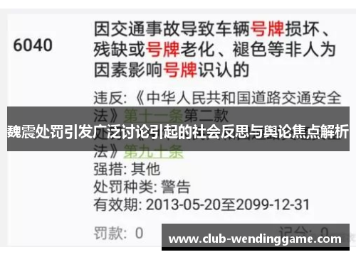 魏震处罚引发广泛讨论引起的社会反思与舆论焦点解析