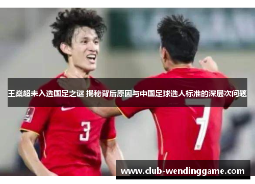 王燊超未入选国足之谜 揭秘背后原因与中国足球选人标准的深层次问题