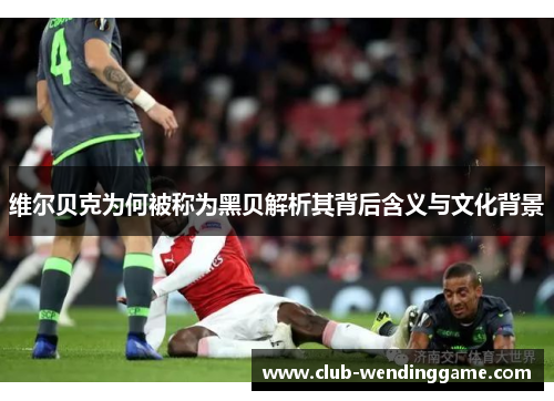 维尔贝克为何被称为黑贝解析其背后含义与文化背景