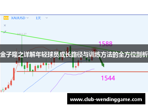 金子隆之详解年轻球员成长路径与训练方法的全方位剖析